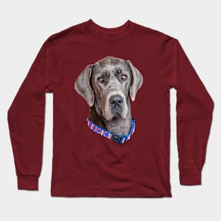 Head of a Blue Great Dane Long Sleeve T-Shirt